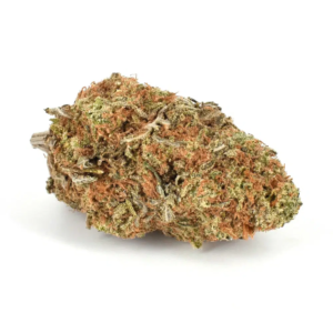 Grapefruit Haze, meticulously cultivated by THE10/10BOYS, is a sativa-dominant hybrid strain renowned for its uplifting effects and citrusy flavor profile. This strain is a cross between Grapefruit and Haze, resulting in a potent and flavorful cannabis experience. With its esteemed lineage and expert cultivation techniques, Grapefruit Haze offers a unique and invigorating journey for cannabis enthusiasts seeking energy and creativity. Flavor Profile and Aroma At THE10/10BOYS, Grapefruit Haze delights the senses with its refreshing flavor profile and vibrant aroma. The strain offers a tangy and citrusy taste with hints of tropical fruit and sweetness, creating a mouthwatering palate. The aromatic bouquet fills the air with a zesty fragrance, reminiscent of ripe grapefruits and summer citrus groves, inviting users to indulge in its flavorful essence and enhancing the overall enjoyment of the strain