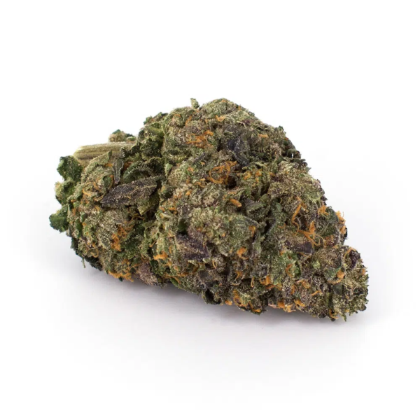 Gelato 45, an exceptional strain meticulously cultivated by THE10/10BOYS, boasts a prestigious lineage and carefully selected genetics. This hybrid strain is renowned for its balanced effects and delightful flavor profile. A cross between Sunset Sherbet and Thin Mint GSC, Gelato 45 inherits the best traits of its parent strains, offering a potent and enjoyable cannabis experience. Flavor Profile and Aroma At THE10/10BOYS, Gelato 45 entices enthusiasts with its tantalizing flavor profile and captivating aroma. With notes of sweet and creamy undertones, complemented by hints of citrus and earthiness, this strain delivers a well-rounded palate that delights the senses. The aromatic bouquet fills the air with a delightful fragrance, inviting users to indulge in its aromatic pleasures