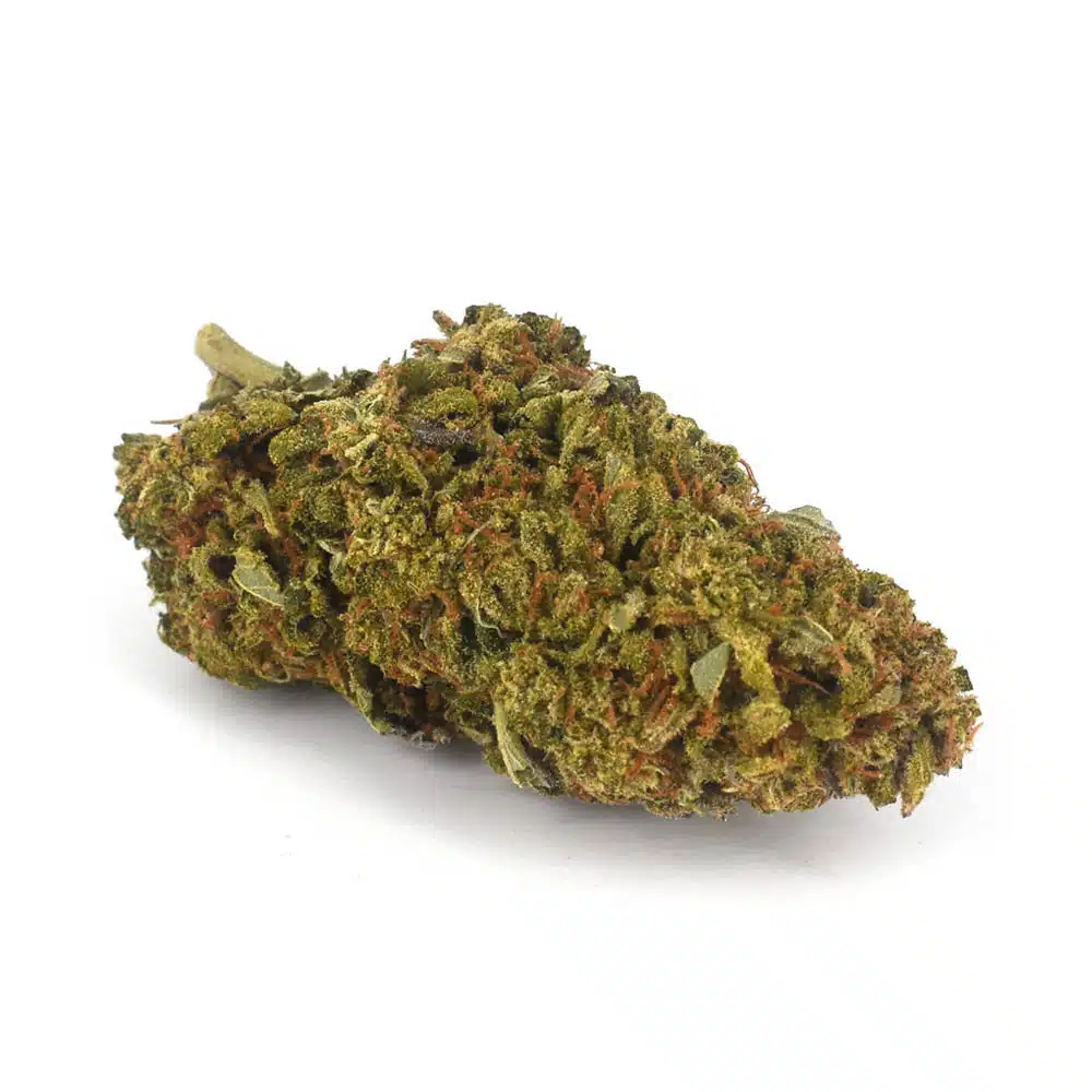 Pink Champagne is a delightful sativa-dominant cannabis strain known for its uplifting and energizing effects. It is a cross between the strains Irene Apricot and Jelly Breath, resulting in a unique combination of fruity and citrusy flavours and aromas. This strain has gained popularity for its invigorating effects and lovely hint of apricot scent. Appearance, Aroma, and Flavour The buds of Pink Champagne showcase a vibrant appearance with shades of light green and orange, reminiscent of ripe apricots. They are compact and dense, adorned