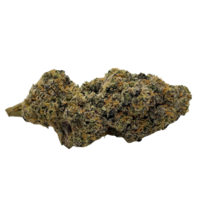 Truffle Monkey, meticulously cultivated by THE10/10BOYS, is an exotic and potent indica-dominant strain with a unique genetic lineage. A cross between the infamous Chocolate Kush and the elusive Grease Monkey, this strain offers a delightful blend of flavors and effects that lean towards the relaxing and sedating qualities typical of indicas. With its esteemed lineage and expert cultivation techniques, Truffle Monkey provides a memorable and enjoyable cannabis experience for enthusiasts seeking deep relaxation and tranquility. Flavor Profile and Aroma At THE10/10BOYS, Truffle Monkey delights the senses with its decadent flavor profile and enticing aroma. The strain offers a rich mix of sweet and earthy flavors, with dominant notes of chocolate, coffee, and subtle hints of spice. The aromatic bouquet fills the air with a tantalizing fragrance that invites users to indulge in its flavorful essence, enhancing the overall enjoyment of the strain's relaxing effects.