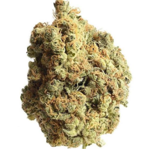 Pluto Runtz  is a rare northern beauty in cannabis. It is popular for its unique blend and resulting high. This strain will hit you like a freight train and boasts uniquely intense CBD levels