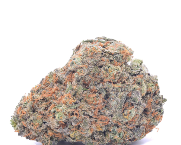 f you’re looking for an easy-going yet intense and cerebral strain, Alaskan Thunder Fuck will give you all that and more. Alaska Thunder Fuck is a cross between an unidentified Northern California strain and Russian Ruderalis. The strain was initially developed in Alaska’s Matanuska Valley, so its name pays homage to the state it hails from.