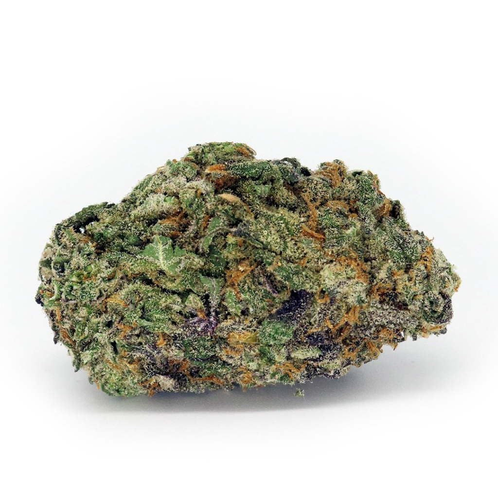 Alaskan Thunder Fuck AAA is a pungent, spicy cannabis strain that originates from the rough terrain of Matanuska Valley, Alaska, by Barney’s Farm and was formulated by crossing the infamous Afghani and citrusy Northern California. As a 70% Sativa/30% Indica with impressive THC levels of 18%-27%