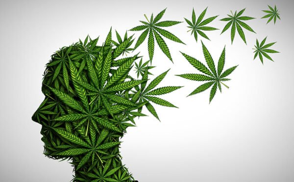How to Handle Cannabis Withdrawal: Recognizing Symptoms and Projecting Recovery Times